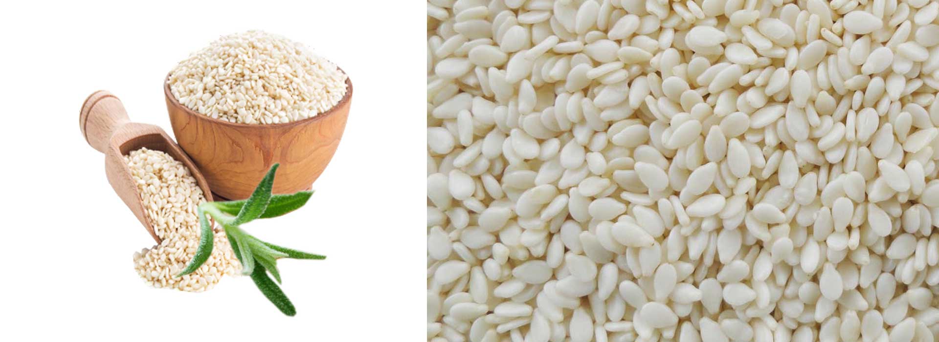 Hulled Sesame Seeds Slider1